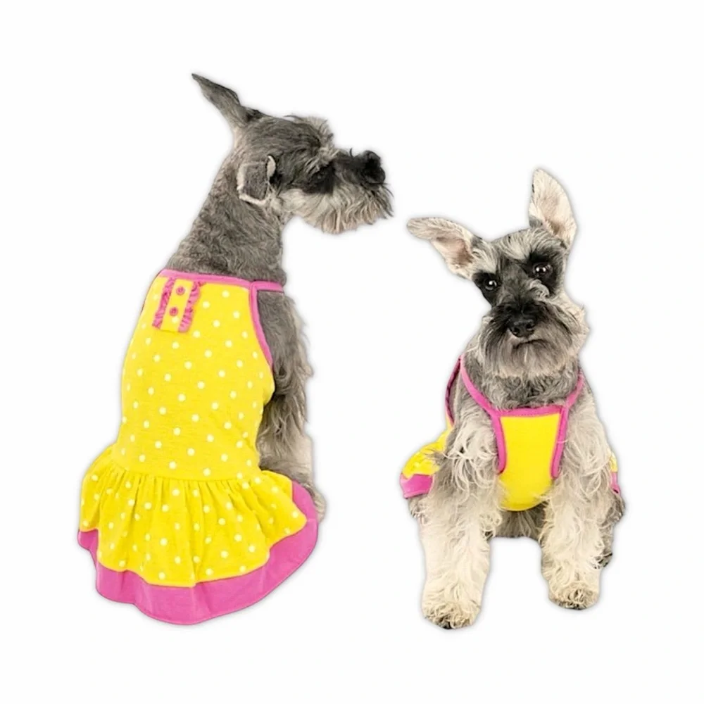Vibrant Life Yellow Polka Dot Dog Dress